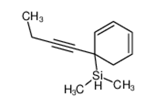 Imagem de (1-but-1-ynylcyclohexa-2,4-dien-1-yl)-dimethylsilane