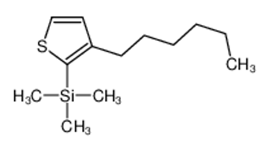 Picture of (3-hexylthiophen-2-yl)-trimethylsilane