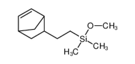 Picture of 2-(5-bicyclo[2.2.1]hept-2-enyl)ethyl-methoxy-dimethylsilane