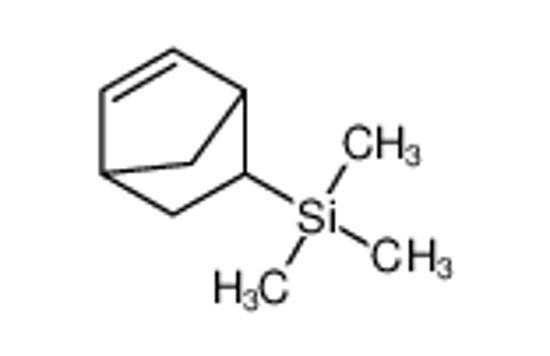 Picture of 5-bicyclo[2.2.1]hept-2-enyl(trimethyl)silane