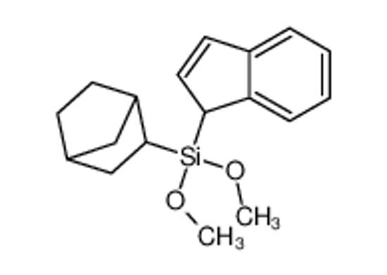 Picture of 3-bicyclo[2.2.1]heptanyl-(1H-inden-1-yl)-dimethoxysilane