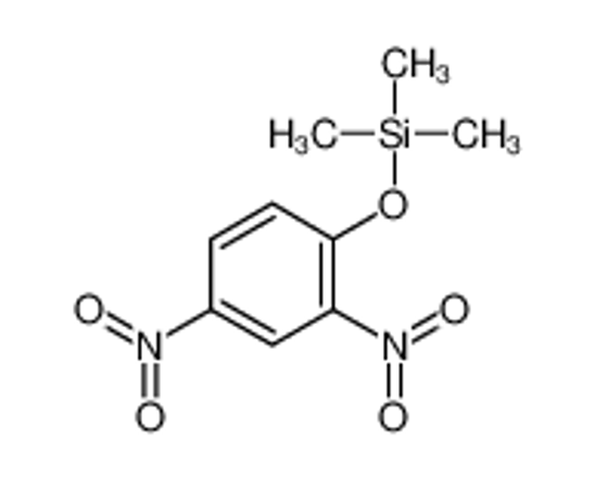 Picture of (2,4-dinitrophenoxy)-trimethylsilane
