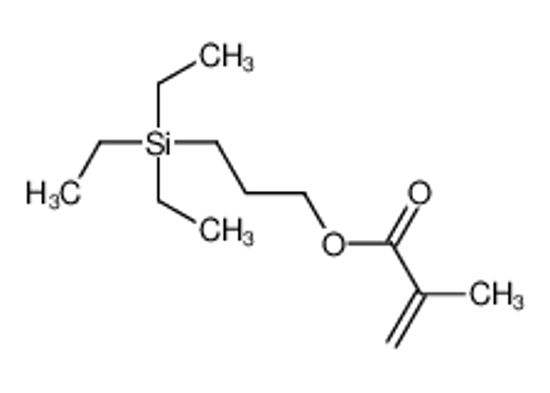 Imagem de 3-triethylsilylpropyl 2-methylprop-2-enoate