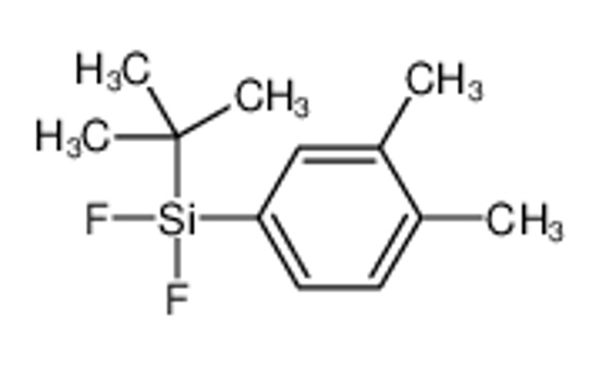 Picture of tert-butyl-(3,4-dimethylphenyl)-difluorosilane