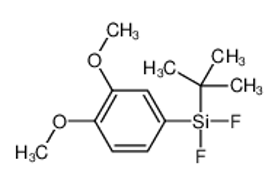 Picture of tert-butyl-(3,4-dimethoxyphenyl)-difluorosilane