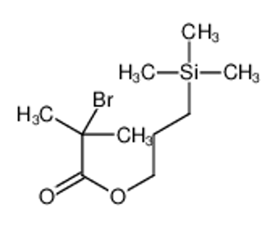 Imagem de 3-trimethylsilylpropyl 2-bromo-2-methylpropanoate