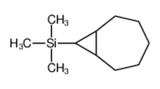 Изображение 8-bicyclo[5.1.0]octanyl(trimethyl)silane