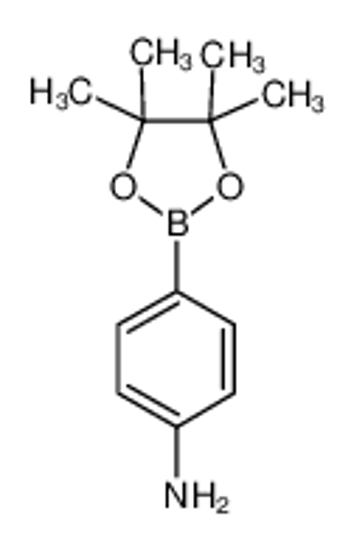 Picture of 4-Aminophenylboronic acid pinacol ester