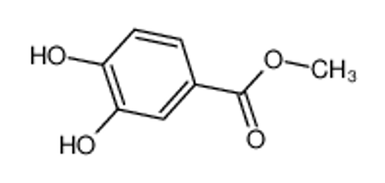 Picture of Methyl 3,4-dihydroxybenzoate