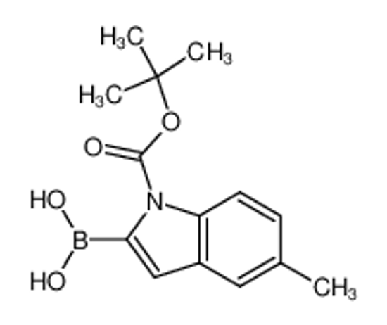 Picture of (1-(tert-Butoxycarbonyl)-5-methyl-1H-indol-2-yl)boronic acid