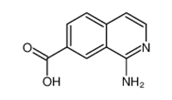 Picture of 1-aminoisoquinoline-7-carboxylic acid