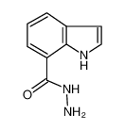 Picture of 1H-indole-7-carbohydrazide