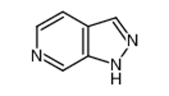Picture of 1H-pyrazolo[3,4-c]pyridine
