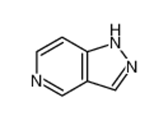 Picture of 1H-Pyrazolo[4,3-c]pyridine
