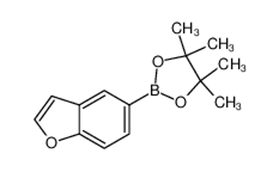 Picture of 2-(1-benzofuran-5-yl)-4,4,5,5-tetramethyl-1,3,2-dioxaborolane