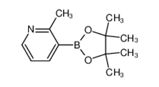 Picture of 2-Methyl-3-(4,4,5,5-tetramethyl-1,3,2-dioxaborolan-2-yl)pyridine