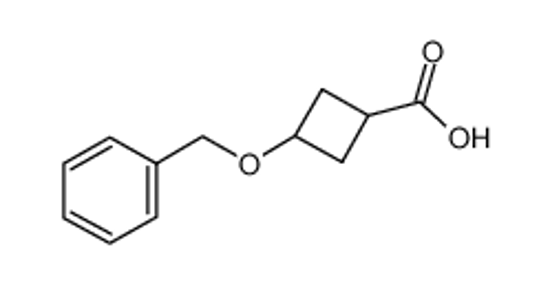Picture of 3-Benzyloxycyclobutanecarboxylic acid