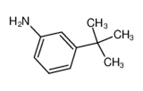 Picture of 3-Tert-Butylaniline