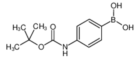 Picture of 4-Boc-Aminophenylboronic acid
