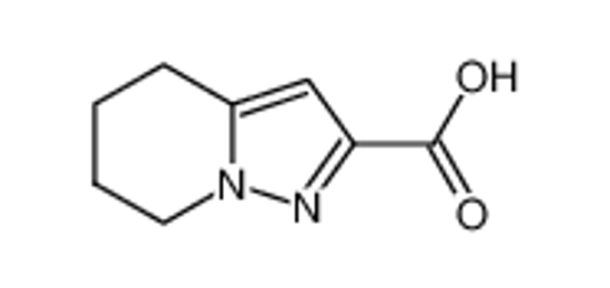Picture of 4,5,6,7-tetrahydropyrazolo[1,5-a]pyridine-2-carboxylic acid
