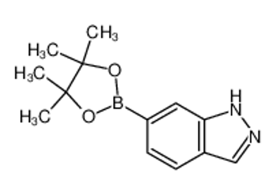 Picture of 1H-Indazole-6-boronic Acid Pinacol Ester