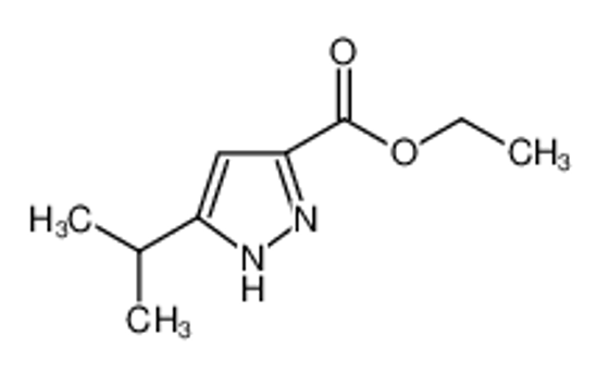 Изображение Ethyl 5-Isopropylpyrazole-3-Carboxylate