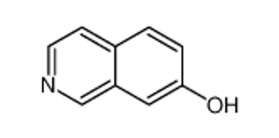 Picture of 7-Hydroxyisoquinoline