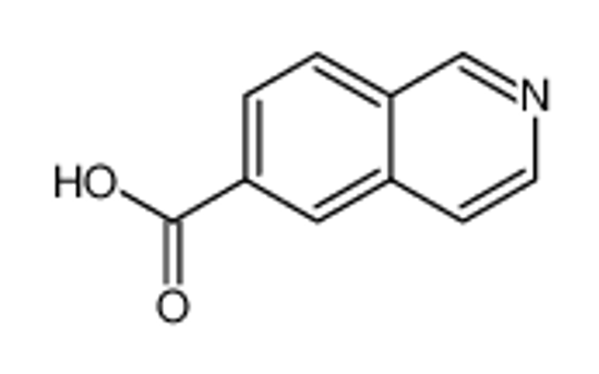 Picture of 6-Isoquinolinecarboxylic Acid