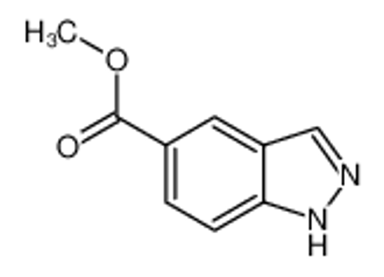 Imagem de Methyl 1H-Indazole-5-carboxylate