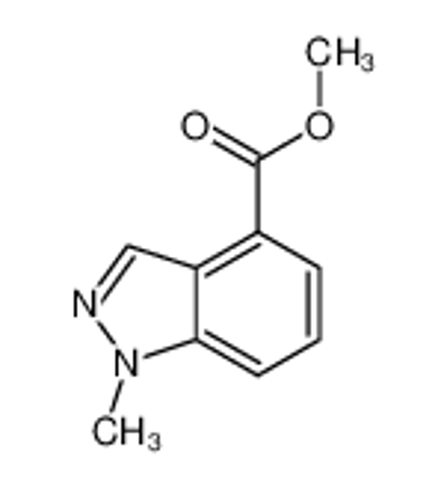 Picture of Methyl 1-methylindazole-4-carboxylate