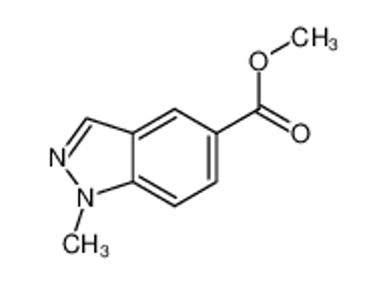 Изображение methyl 1-methylindazole-5-carboxylate