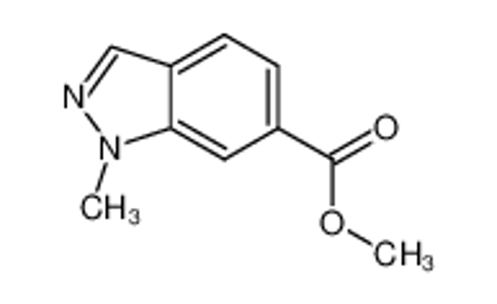 Picture of 1-Methyl-1H-indazole-6-carboxylic acid methyl ester