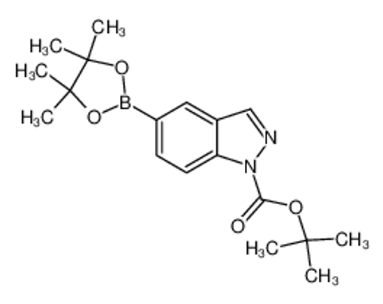 Picture of tert-butyl 5-(4,4,5,5-tetramethyl-1,3,2-dioxaborolan-2-yl)indazole-1-carboxylate
