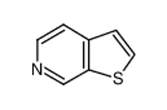 Изображение Thieno[2,3-c]pyridine