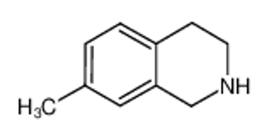 Picture of 7-Methyl-1,2,3,4-tetrahydroisoquinoline hydrochloride
