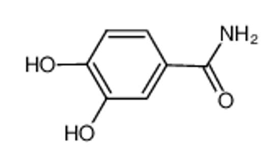 Picture of 3,4-DIHYDROXYBENZAMIDE