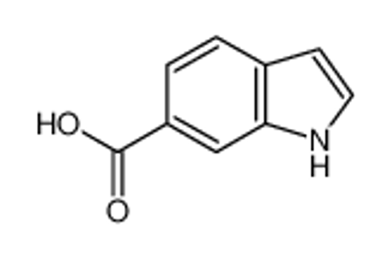 Picture of Indole-6-carboxylic acid
