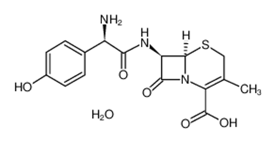 Picture of cefadroxil monohydrate