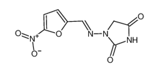 Picture of nitrofurantoin