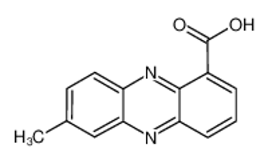 Picture of 7-methylphenazine-1-carboxylic acid