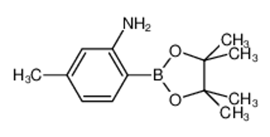 Picture of 2-Amino-4-methylphenylboronic acid, pinacol ester