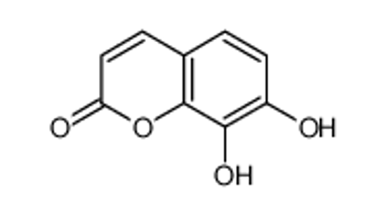 Picture of 7,8-dihydroxycoumarin