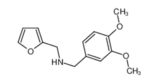 Picture of (3,4-DIMETHOXY-BENZYL)-FURAN-2-YLMETHYL-AMINE