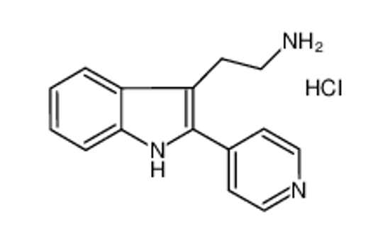 Picture of 2-(2-pyridin-4-yl-1H-indol-3-yl)ethanamine,hydrochloride