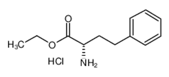 Picture of (S)-(+)-2-Amino-4-phenylbutyric acid ethyl ester hydrochloride