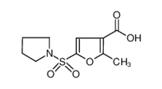 Изображение 2-methyl-5-pyrrolidin-1-ylsulfonylfuran-3-carboxylic acid