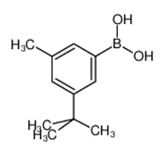 Picture of (3-tert-butyl-5-methylphenyl)boronic acid
