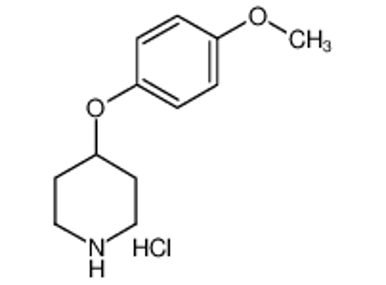 Imagem de 4-(4-methoxyphenoxy)piperidine,hydrochloride