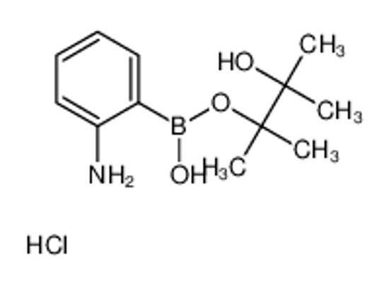 Picture of 2-Aminophenylboronic acid, pinacol ester, HCl