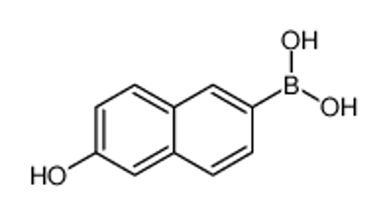 Picture of (6-Hydroxynaphthalen-2-yl)boronic acid